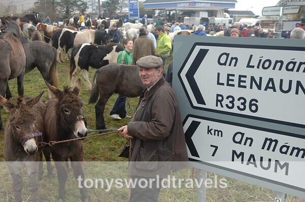 4, The horse fair at Maum Cross, Galway - Horse Fairs, Ireland