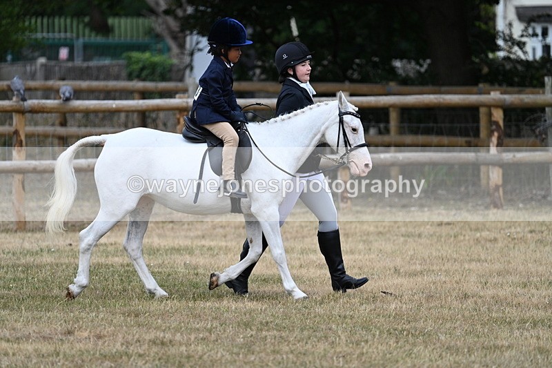 WJ7_9590 - Class 1 Lead Rein Pony
