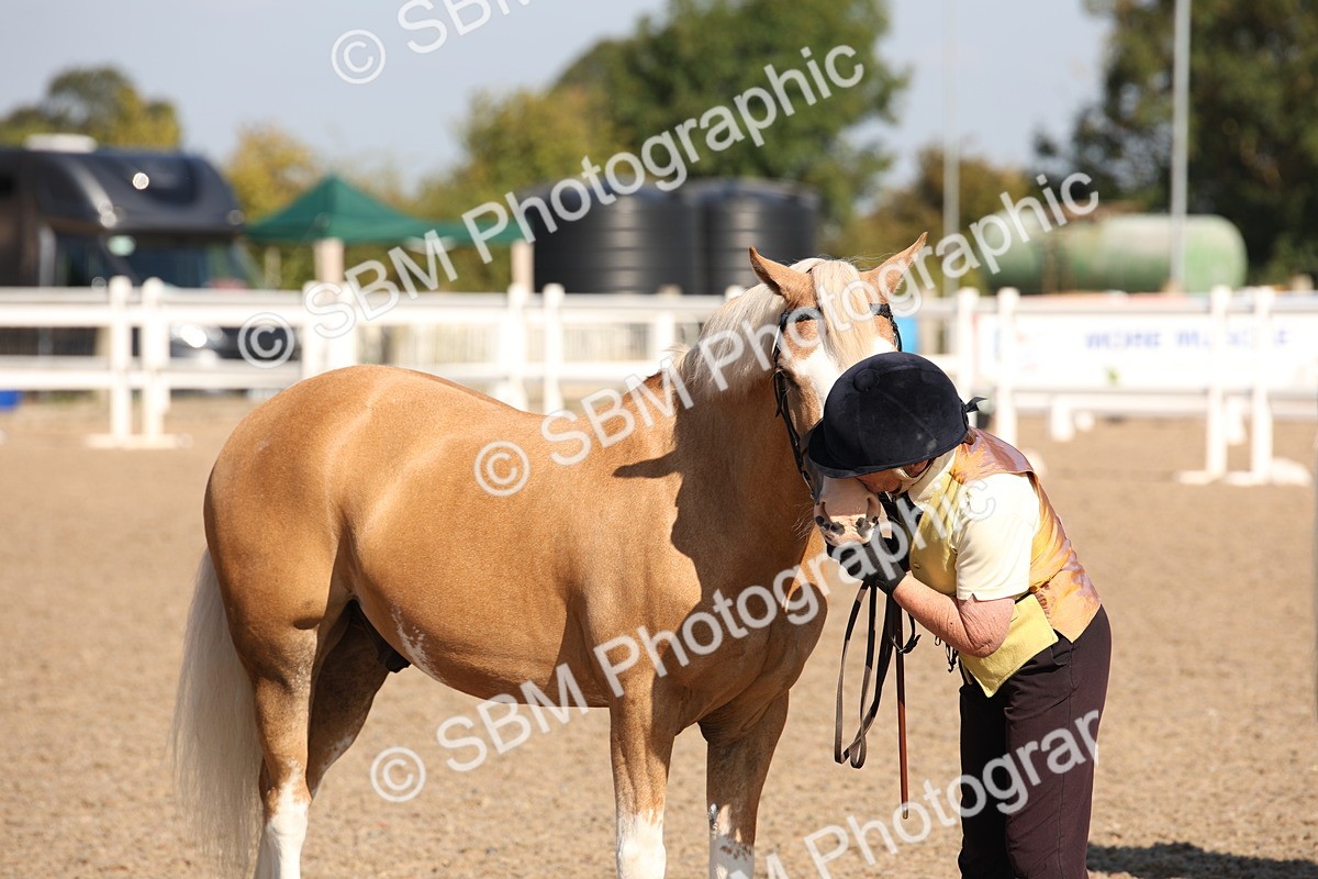 SBM_01556 - Class 15 IH Coloured