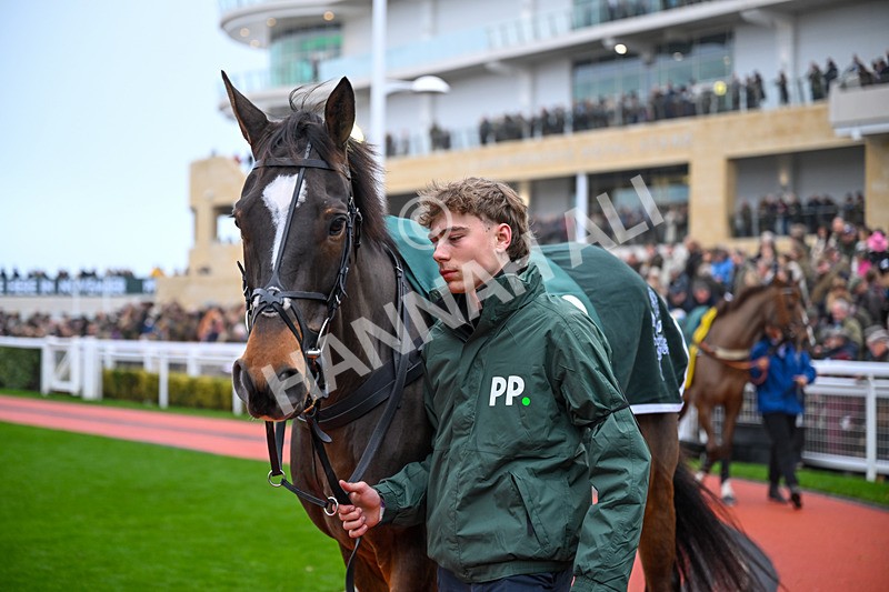 151125-Race 4-Hoe Joly Smoke-3147 - Race 4