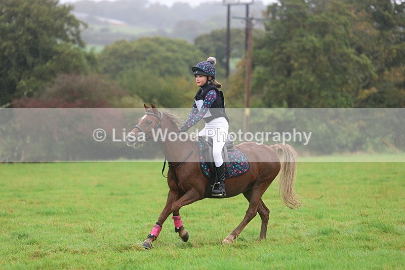 3E7A1036 - Class 1: 65cm: Rails