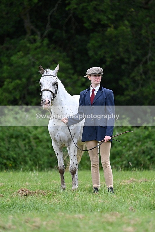 WJ7_4422 - Class 14B Prettiest Mare