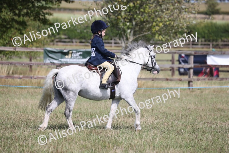 20260906-2547 - Class 18 - Childs First Pony