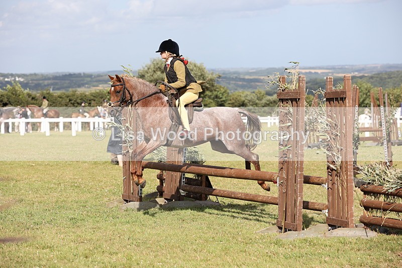 JPP_2824 - Class 20: Working Hunter 70cm