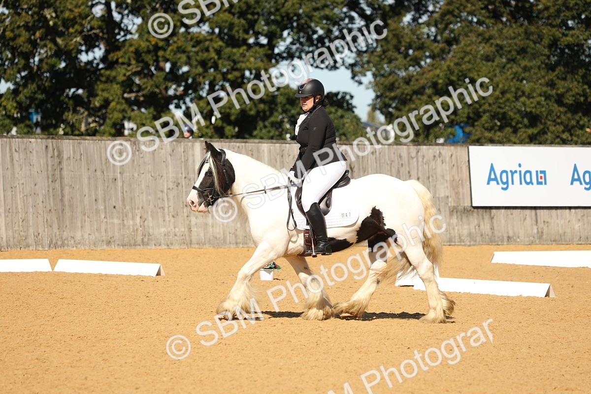 SBM_19617 - D10 - Small Tour Championship - Prelim 2