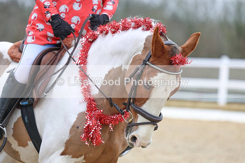 3E7A3756 - Class 2: Intro Section B