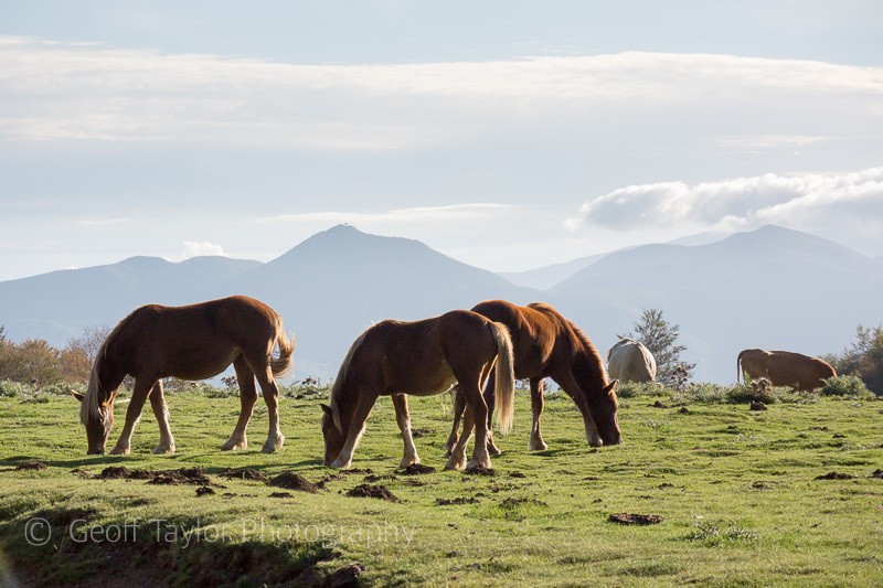 Monte Pollino walk - Naples, Padula & Northern Calabria