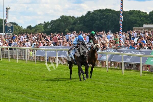 140625-Race 5-Egoli-3064 - Race 5 4.10pm Reg Griffin Appreciation EBFstallions.com Maiden Stakes