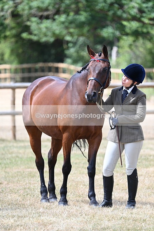 WJ7_2014 - Class 4a Prettiest Mare 14.2hh and over hand