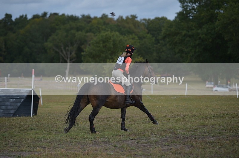 NGP_1091 - XC Time 10:22 to 10:35