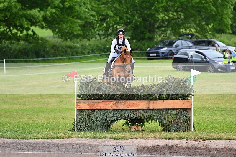 250524A-125811-10742 - B-360-Lucy.K.Wheeler-KING.CREOLE.VD.N.RANCH