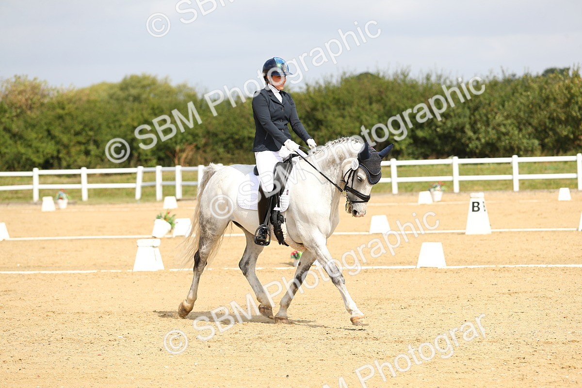 SBM_016409 - Class 13 - Novice 23 - 11.25-12.35