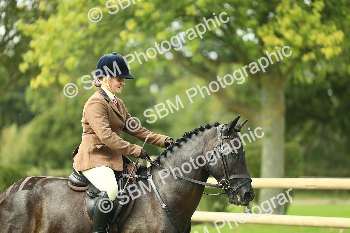 SBM_44752 - S31 - Working Hunter Pony
