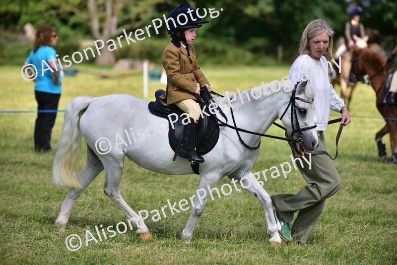 20260614-1145 - Class 11a - Lead Rein Pony (Unplaited)