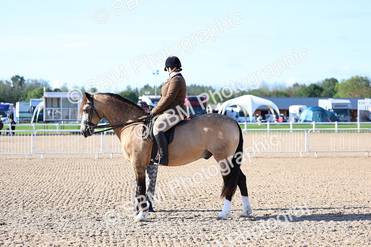 SBM_08865 - Class 302 - Ridden M&M - Large Breeds