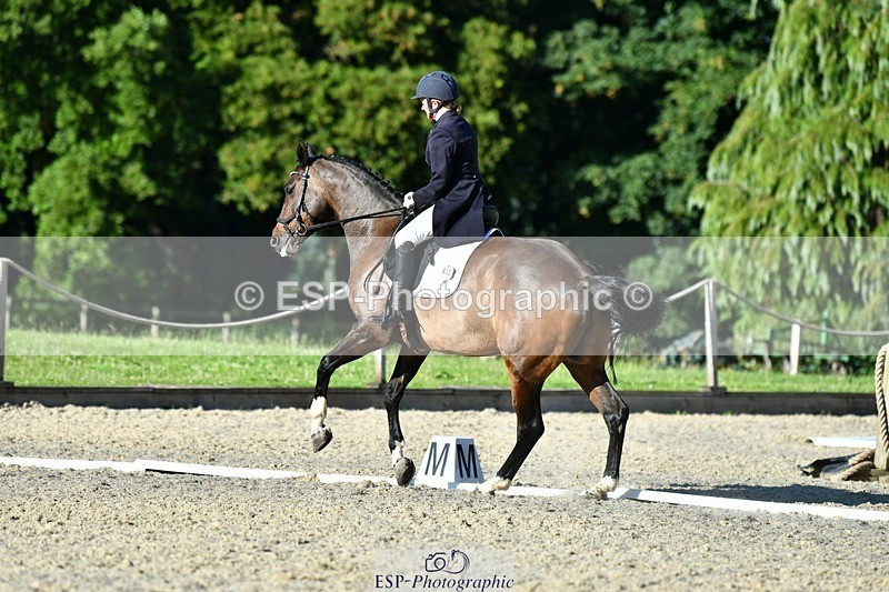 230623-183045-03269 - Cls 11 FEI PSG