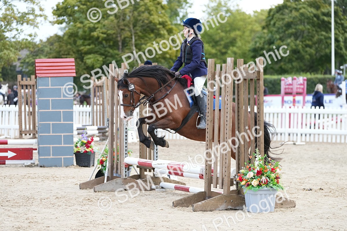 SBM_21066 - J49 - Open 50cm