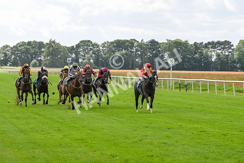 090824-Race 4-Law Of Average-4656 - Race 4