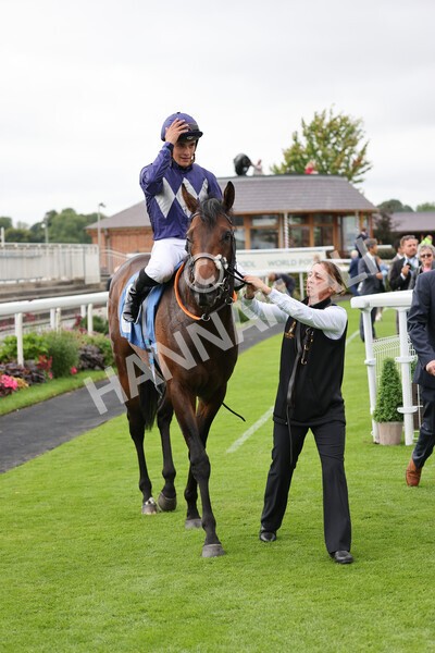 yr18082021r7-31 - Race 7 5.20pm Sky Bet Nursery Handicap