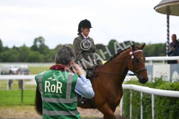 yr22052022r8e-40 - ROR - Parade Ring York
