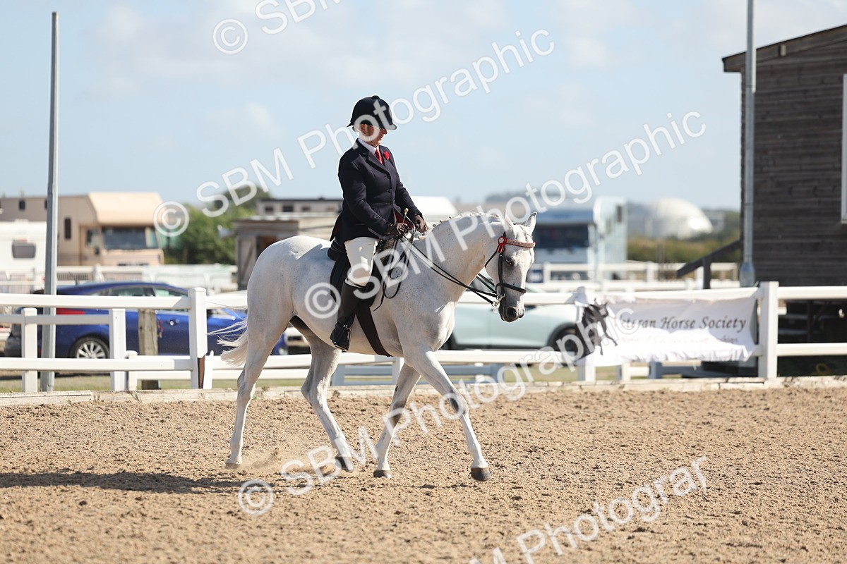 SBM_22671 - Class 805 - Ridden Veteran Horse
