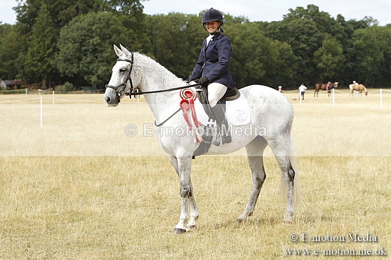 _BS_1028 - Working Hunter Championship BVRC Show 2018