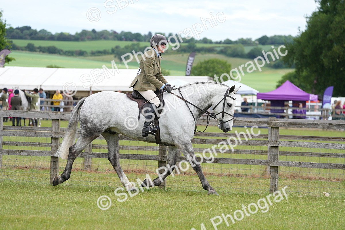 SBM_14873 - Class 100-102 - RIHS Working Hunter
