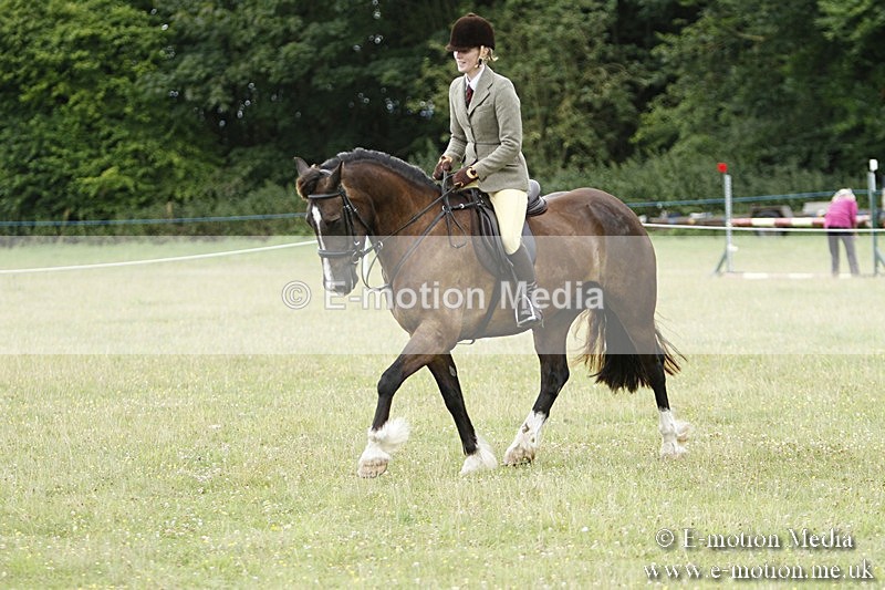 BVR160717-343 - Ring 3 BVRC Show 16/07/17