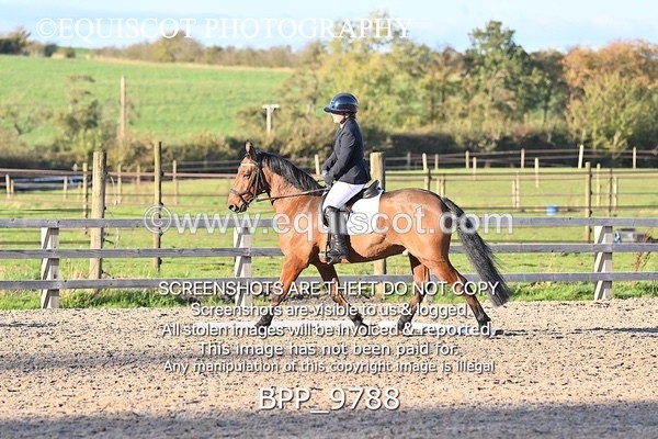 BPP_9788 - SHORT ARENA
