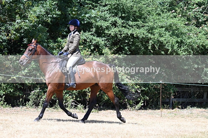 WJ7_2766 - Class 7 Riding Club Show Horse