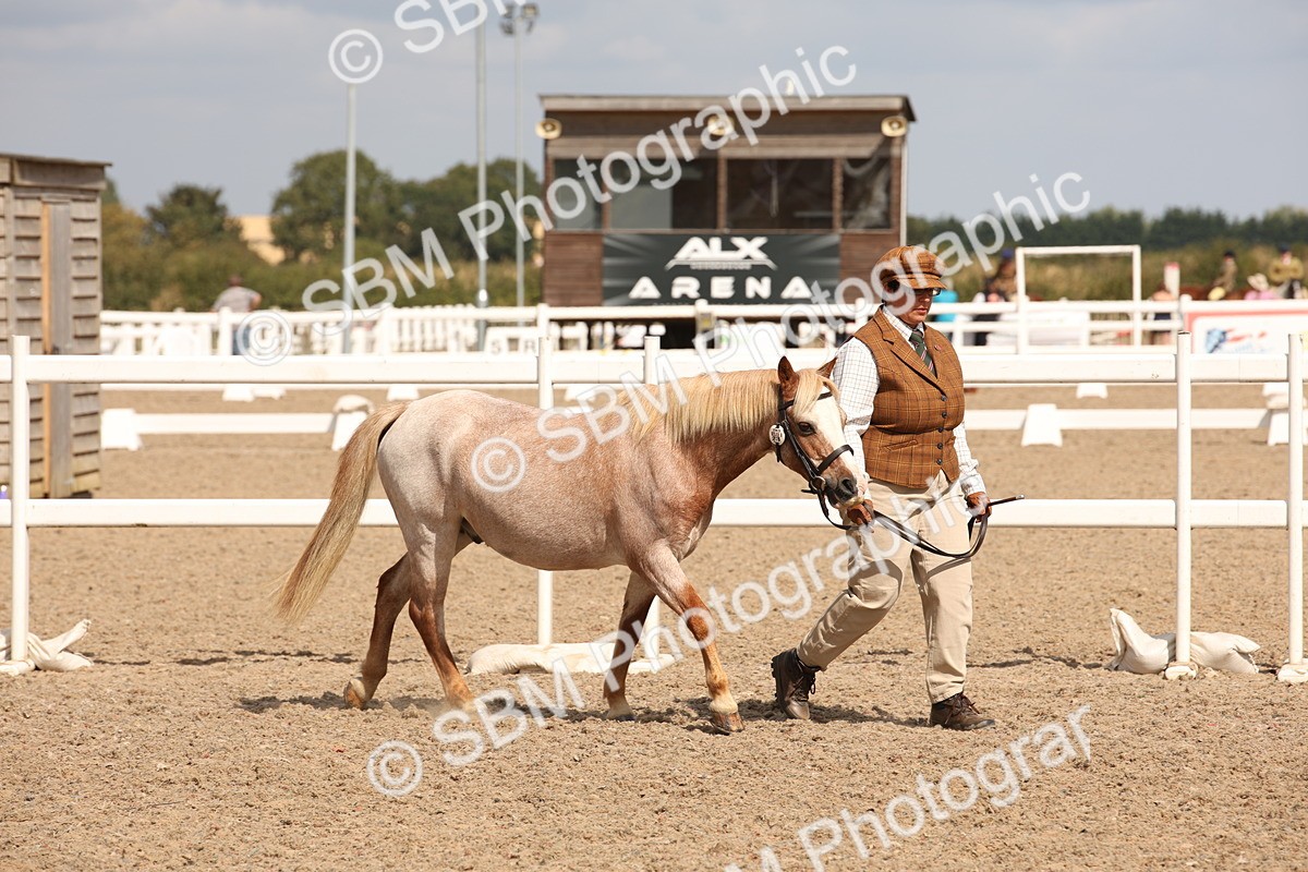 SBM_04516 - Class 20 IH Veteran