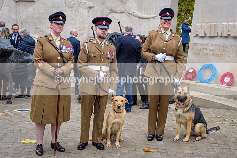 NGP_8329 - 2024 Animals in War Remembrance Gathering