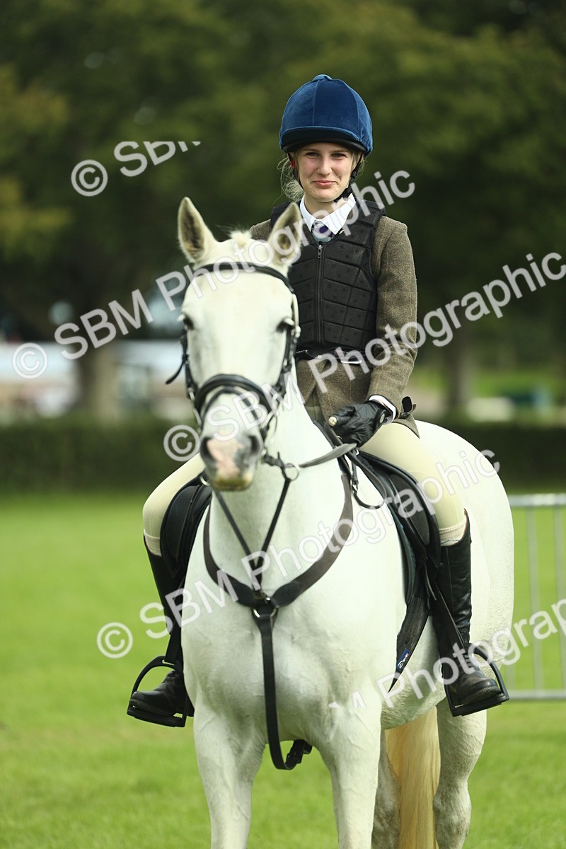 SBM_44794 - S31 - Working Hunter Pony
