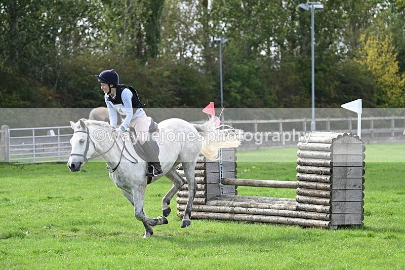 WJ7_8480 - 60cm Pairs