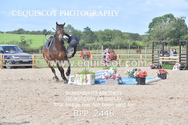 BPP_2448 - DERBY CLASS 7 - 80CM