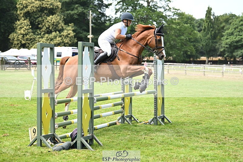 250704A-114050-07331 - Cls 25 Snr British Novice and 90cm