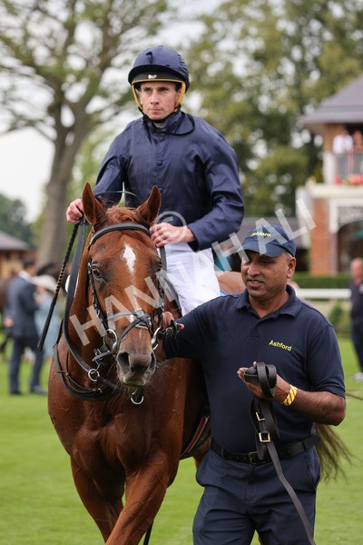 yr20082021r7-43 - Race 7 5.10pm Sky Bet Mile