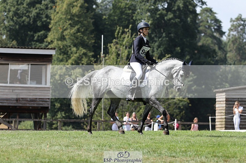 250823A-140721-31469 - Arena D