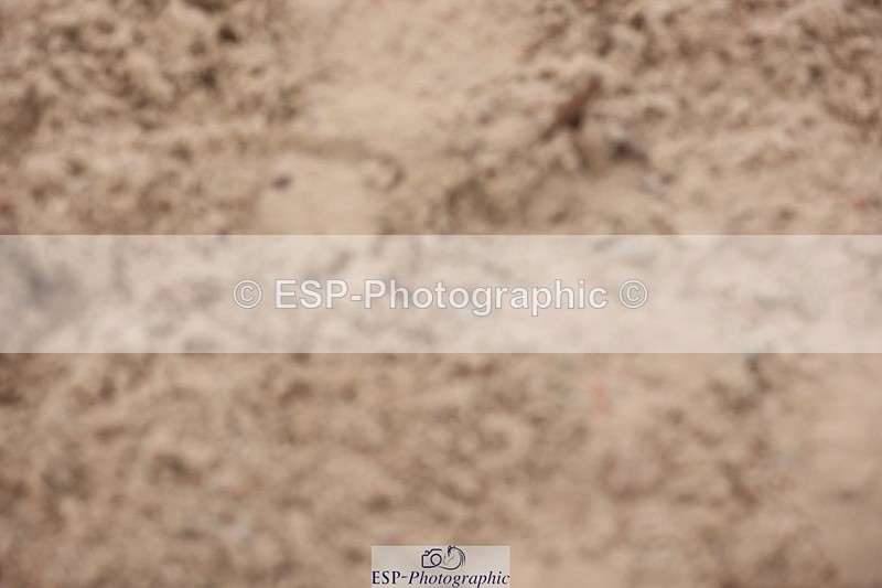 241116X-104139-00937 - Cls 08 Pony Winter Nov Champs