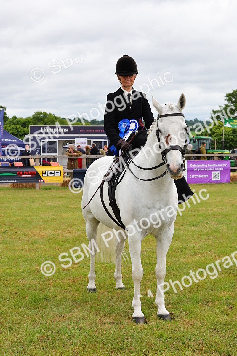 SBM_02780 - Class 9-11 Side Saddle including LIHS Rising Star Ladies Show Horse