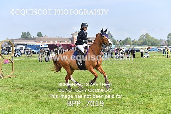 BPP_7019 - CLASS 3 RHS Fox Champ Qual (1.20m)