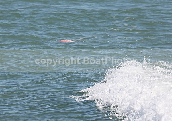 120907 LOBSTER BUOY WT7A1375 - Scenery