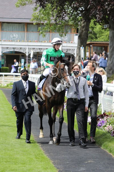 yr12062021r3-17 - Race 3 3.05pm Sky Bet Race to the Ebor Grand Cup