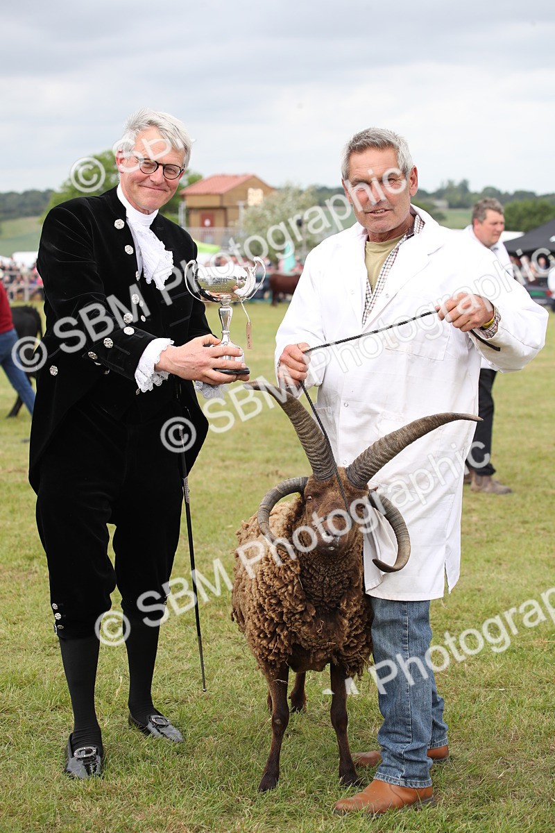 SBM_07889 - Grand Parade