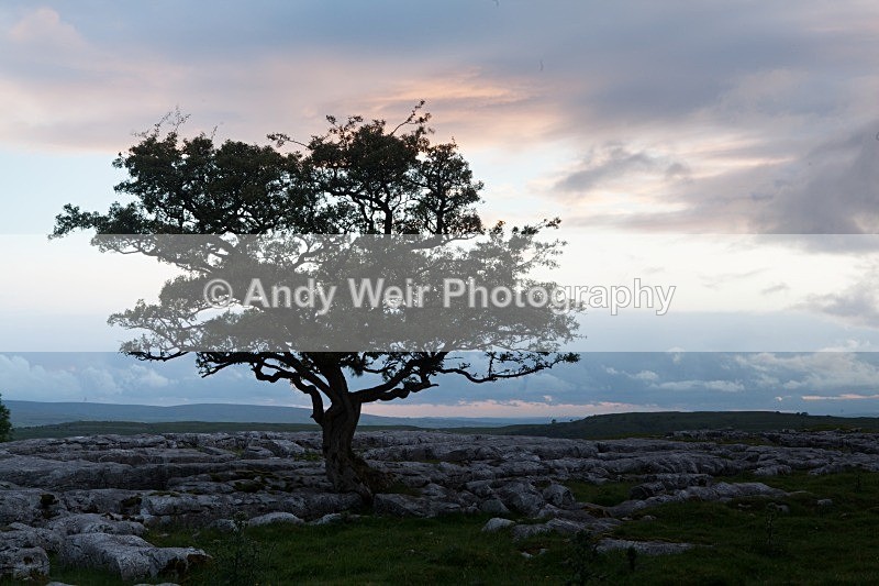 20120630-_MG_9132 - England