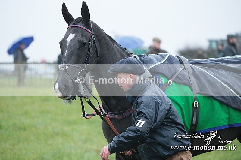 PtP 031223 122 - Wheatland Hunt PtP Chaddesley Races 03/12/23