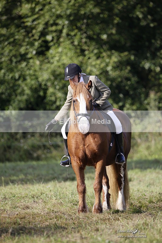BVRC 120921 48 - Bourne Valley Riding Club UA Dressage & Show Jumping 12/09/21