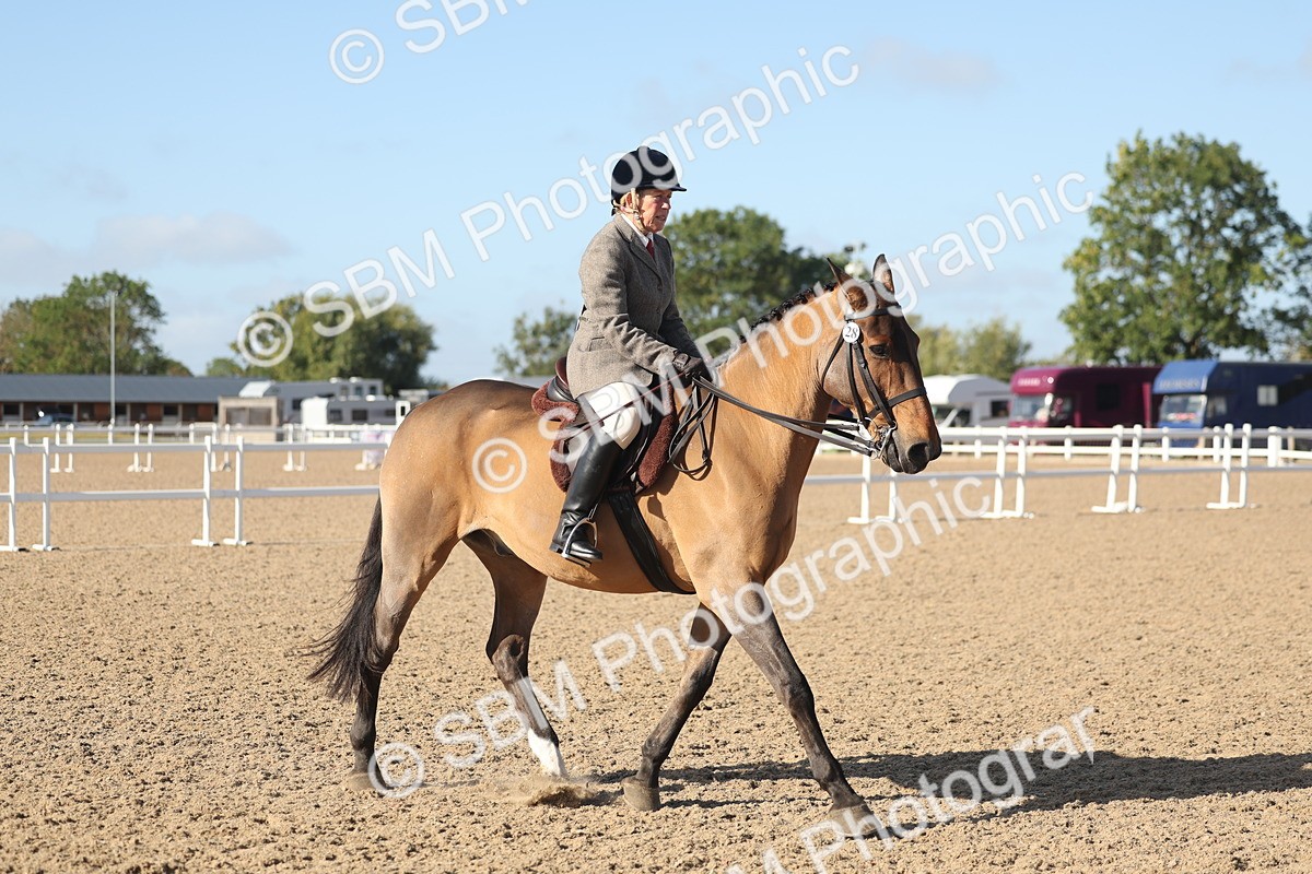 SBM_22305 - Class 803 - Ridden Combination 65+