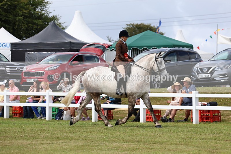 3E7A0453 - Rising Star Ridden Championship