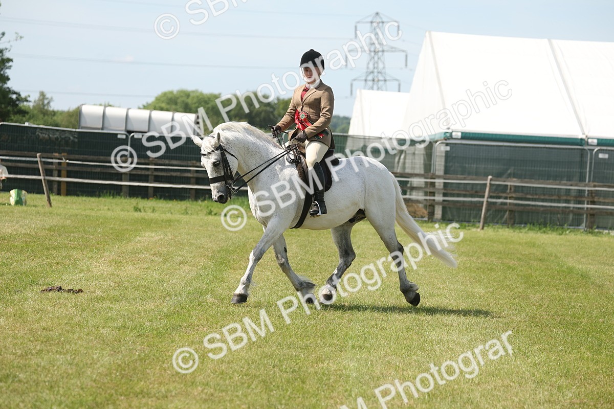 SBM_07689 - Class 26-30 - Mountain and Moorland Ridden